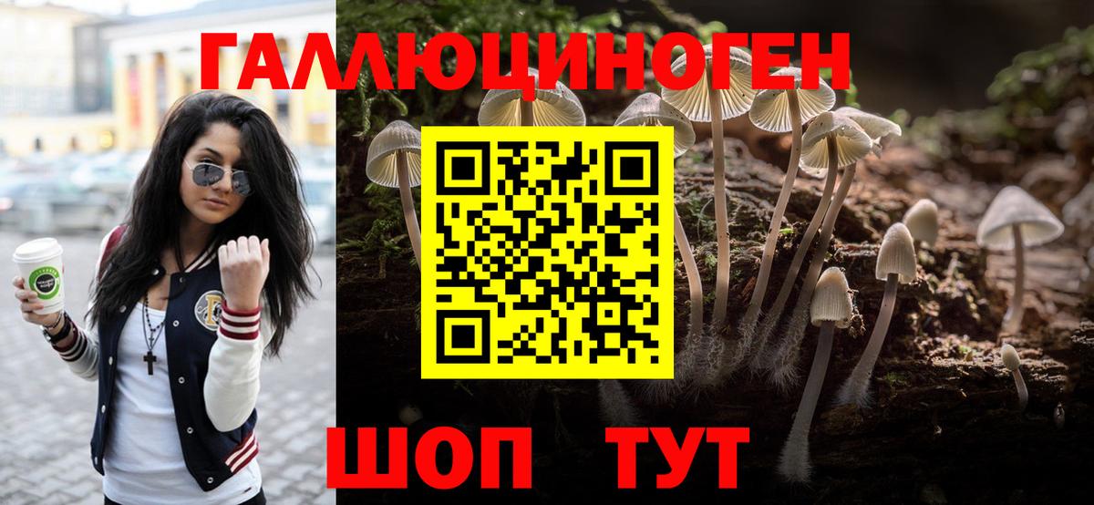 Галлюциногенные грибы Psilocybe  Псилоцибиновые грибы мицелий  Семёнов  Вход с VPN 