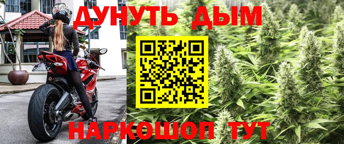 МАРИХУАНА планчик  Шишки марихуана OG Kush  Семёнов  Шишки марихуана гибрид  Вход с VPN  Канабис Ganja 